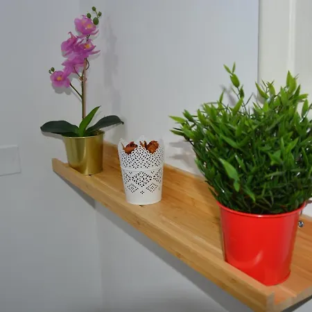 Mirhome Apartment